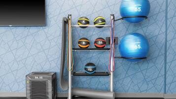 A fitness equipment setup with a wall-mounted rack holding various exercise balls and a step platform.