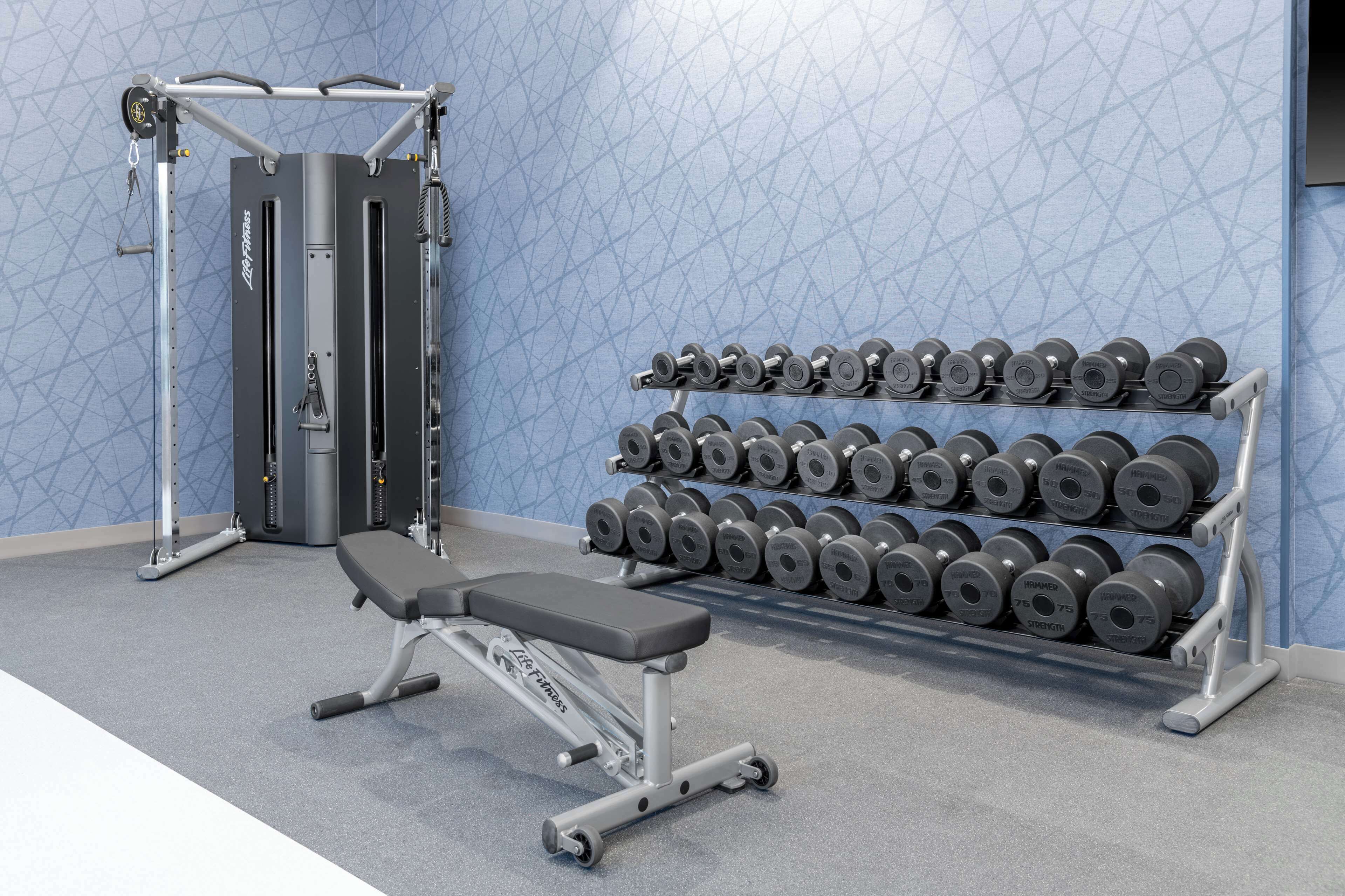 A gym with a bench, weight rack, and a squat rack.
