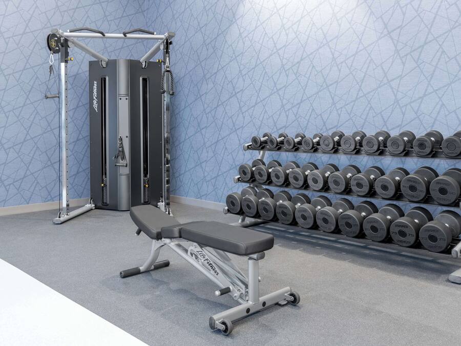 Une salle de sport équipée d’un banc, d’un support à poids et d’une cage à squats.