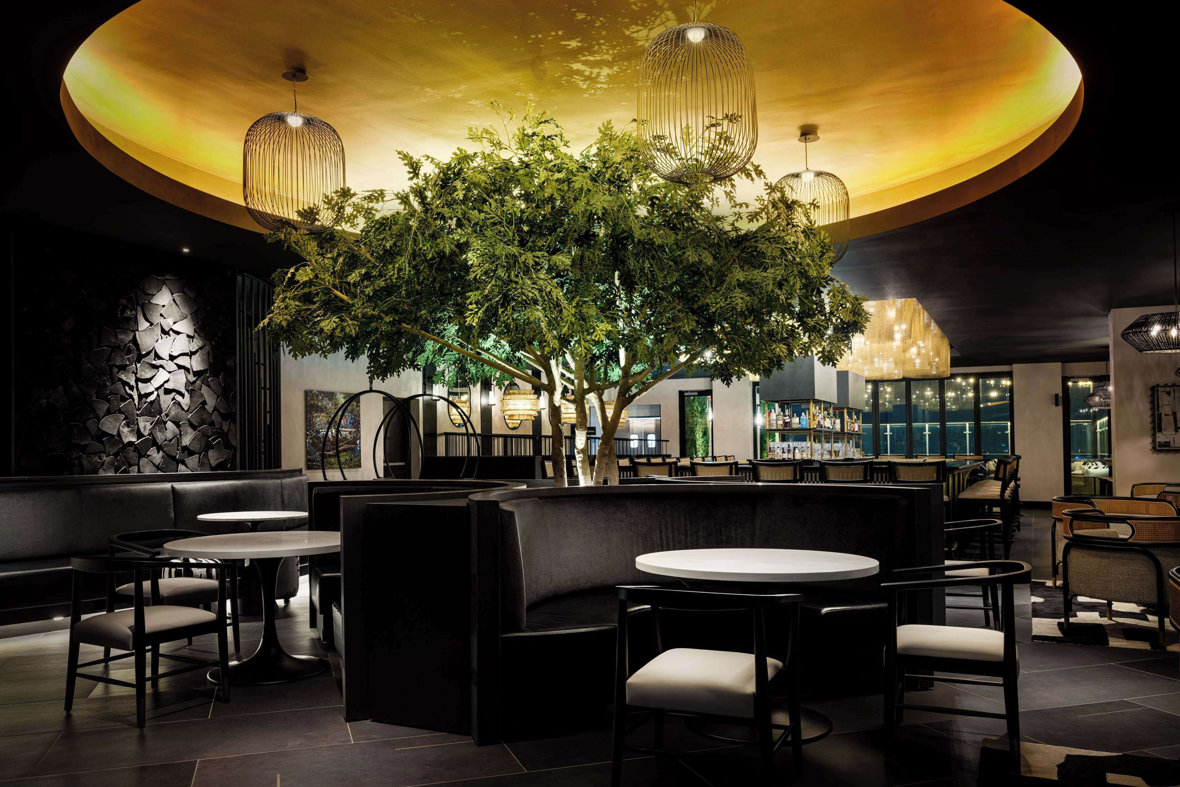 A modern restaurant with a central tree, round tables, and black leather seating.