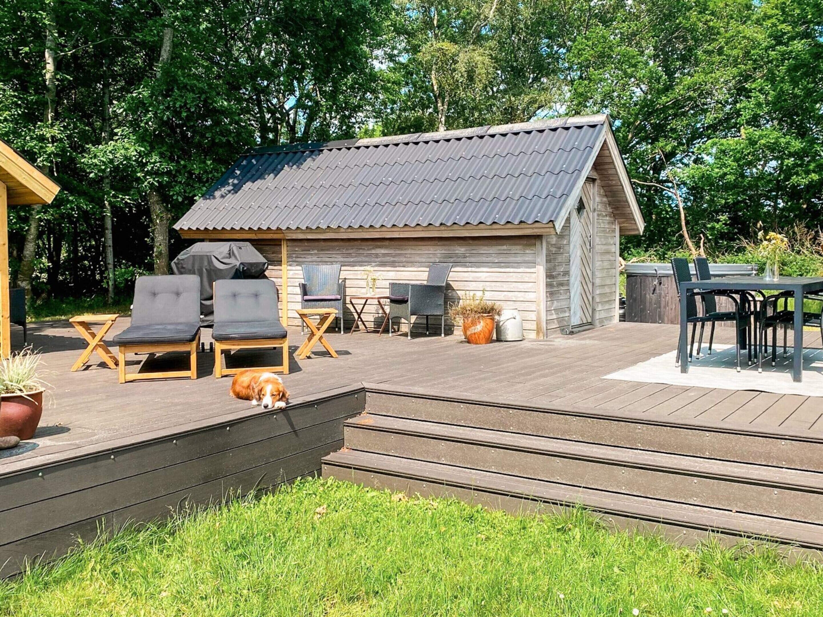 Een houten terras met buitenmeubilair, een hond en een kleine schuur met een metalen dak.