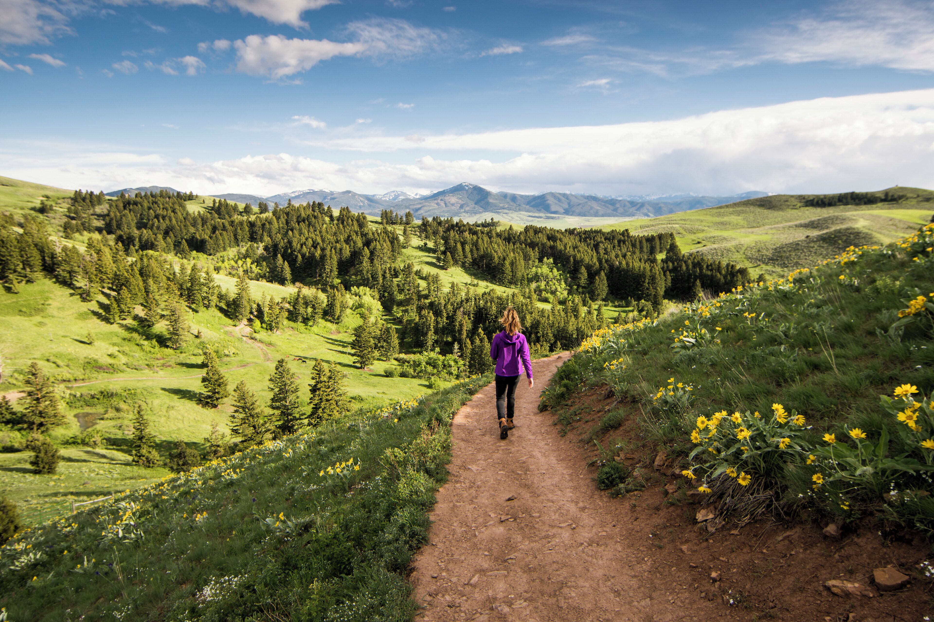 Eine Person geht auf einem Feldweg, umgeben von grünen Feldern und Bergen im Hintergrund.
