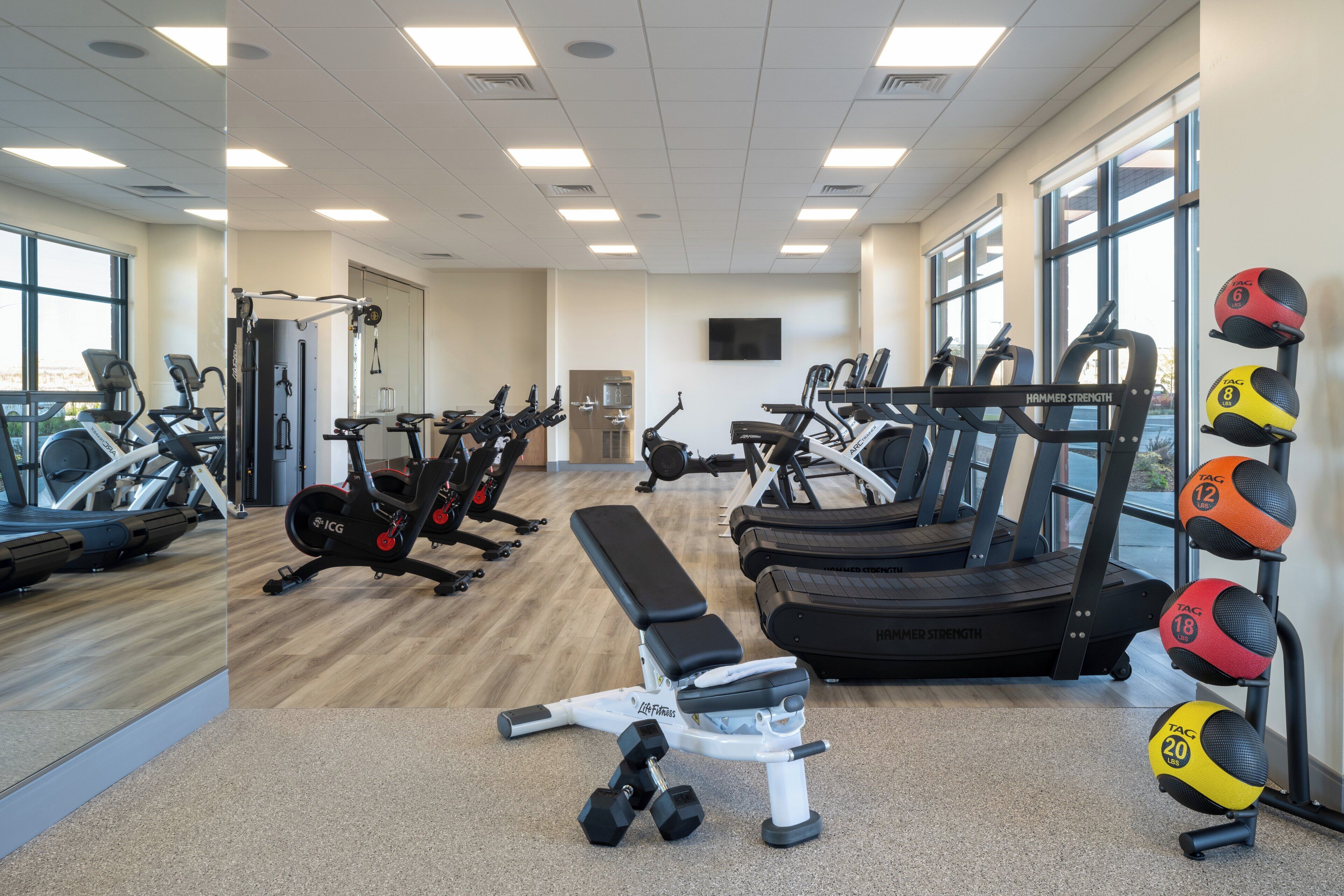 A gym with exercise equipment, a bench, dumbbells, and a wall-mounted medicine ball rack.