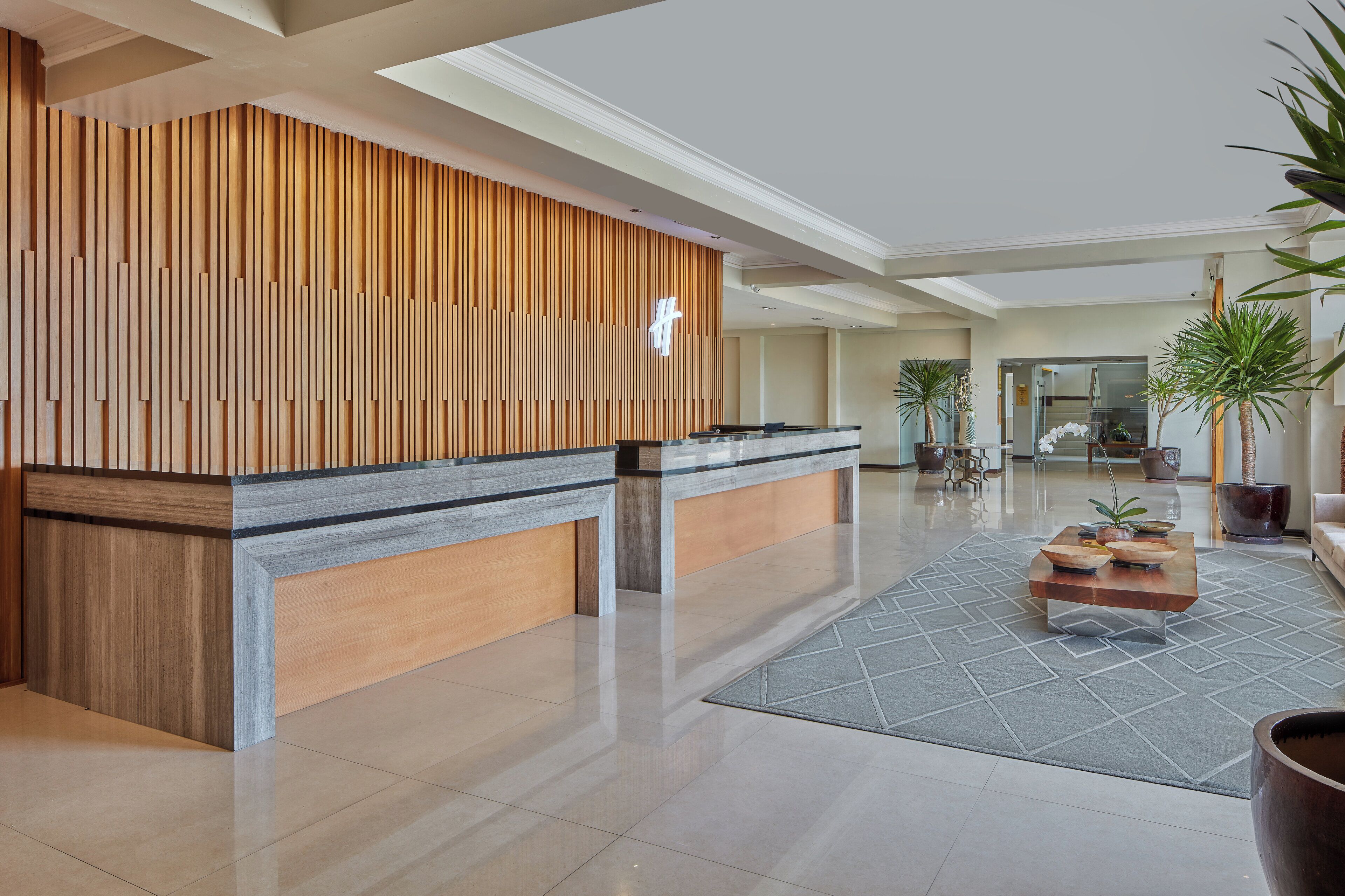 A modern reception area with a wooden reception desk, a large potted plant, and a geometric patterned rug.