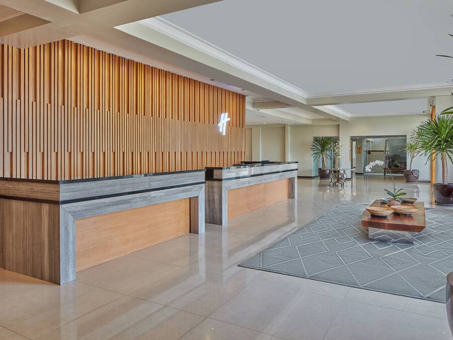 A modern reception area with a wooden reception desk, a large potted plant, and a geometric patterned rug.
