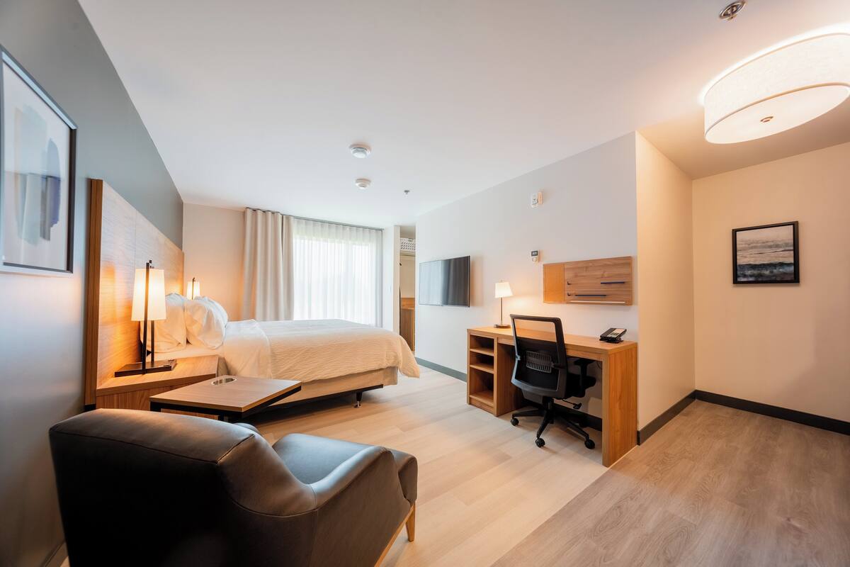 Suite estudio, 1 cama de matrimonio grande | Escritorio, espacio para trabajar con un portátil, wifi gratis