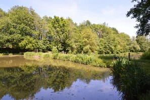 House | Property grounds