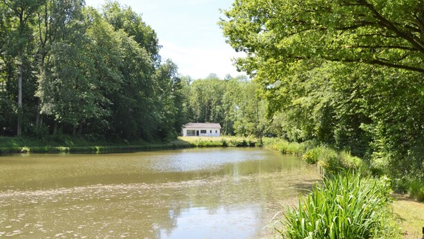 A serene lakeside setting with a small house surrounded by lush greenery. - Nature Retreat by the Lakes (Florennes)
