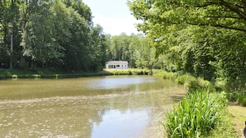 House | Property grounds