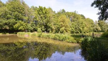 House | Property grounds