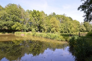 Casa | Parco della struttura