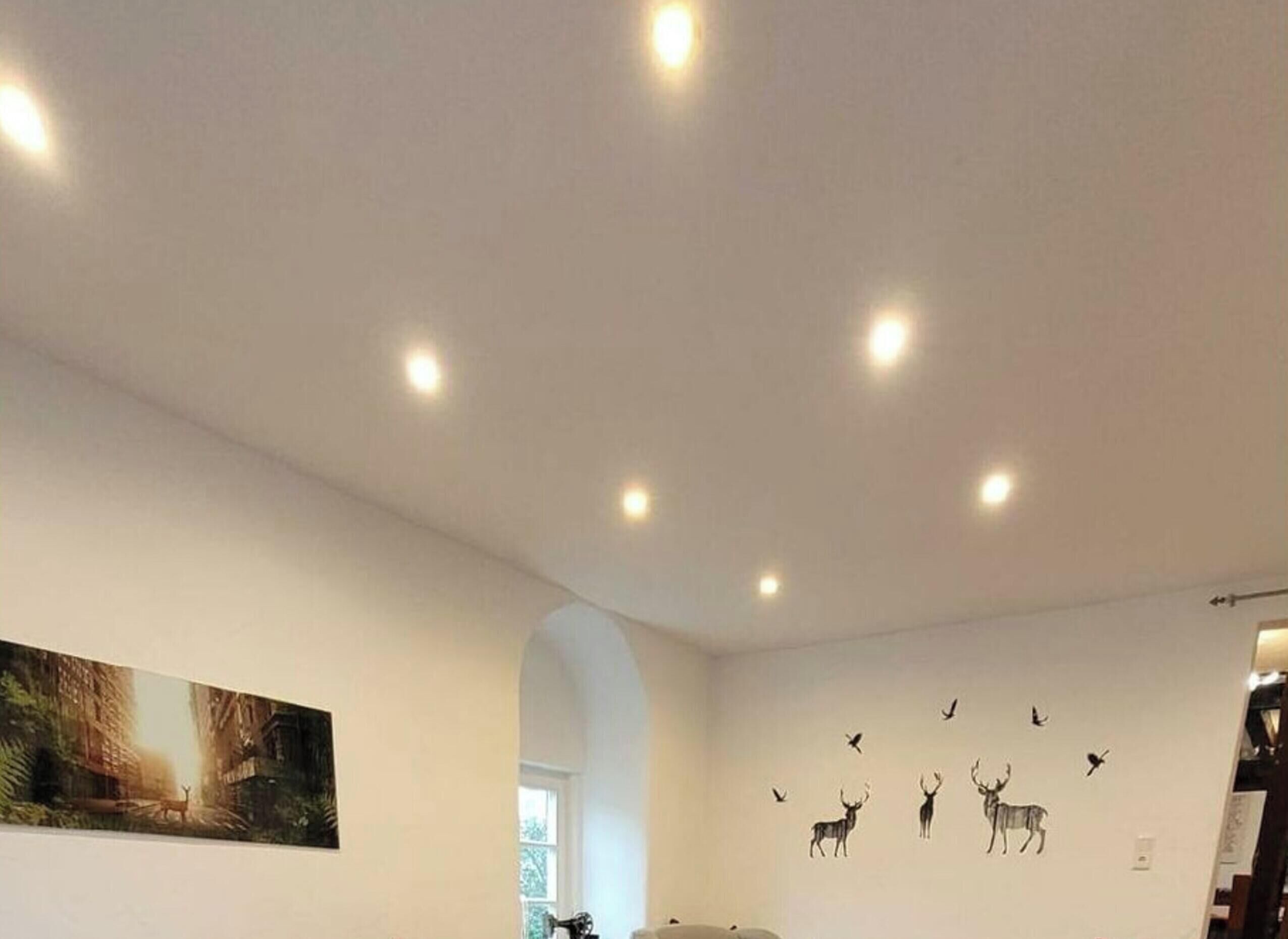 Una habitación con un cuadro grande de un paisaje forestal, techo con iluminación empotrada y adhesivos murales de ciervos y pájaros.