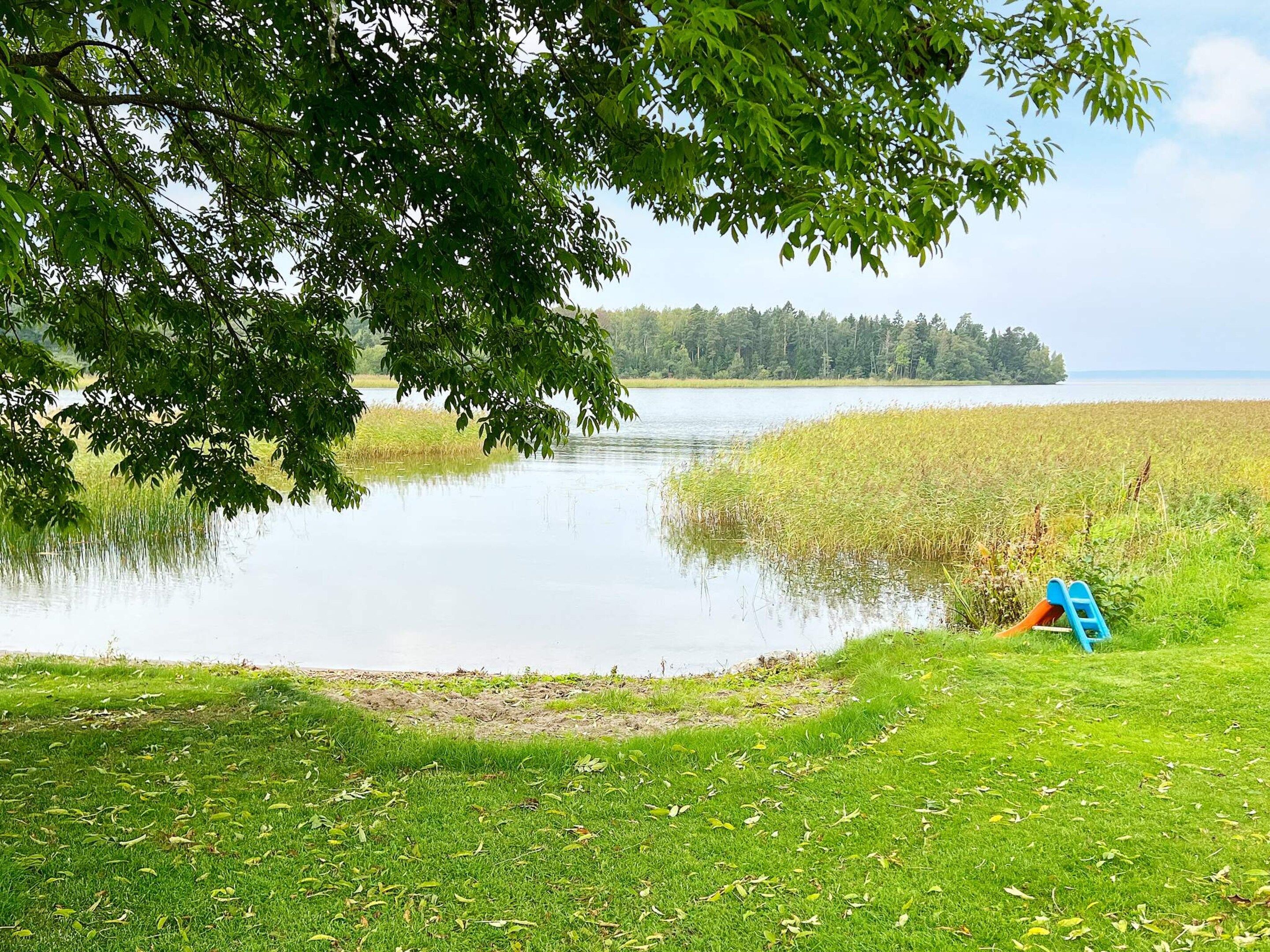 A grassy area with a body of water, a tree, and a playground with a slide and ladder.
