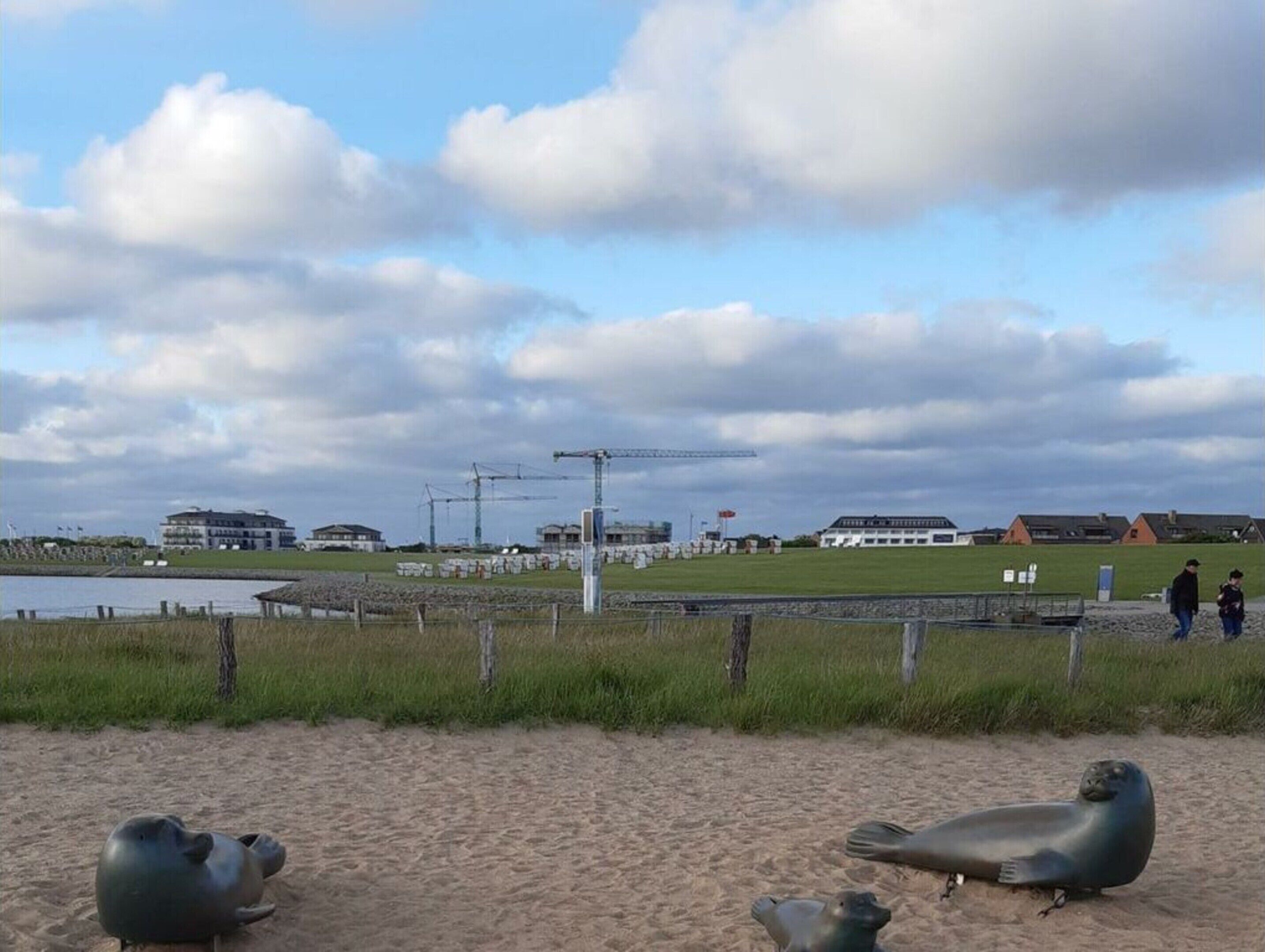 A beach with sand, a few seals, and a cloudy sky.