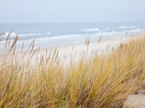 A beach with tall grass in the foreground and the ocean in the background. - Charming Holiday Home With a Terrace (Zoutelande)