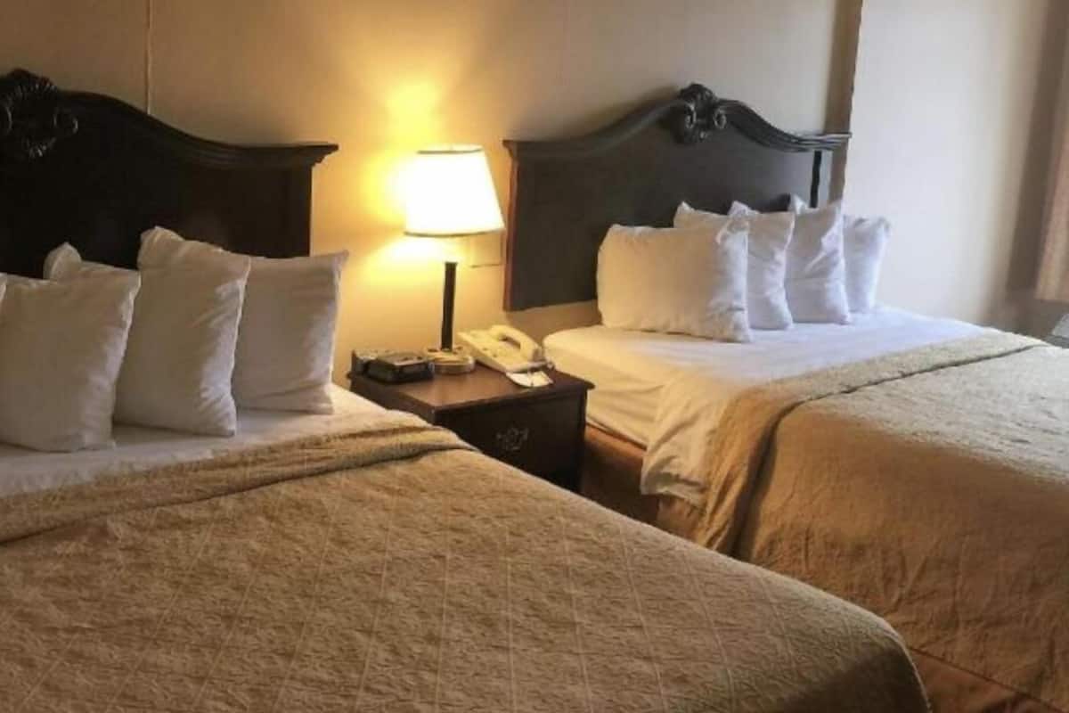 Singola Deluxe | Una cassaforte in camera, tende oscuranti, insonorizzazione