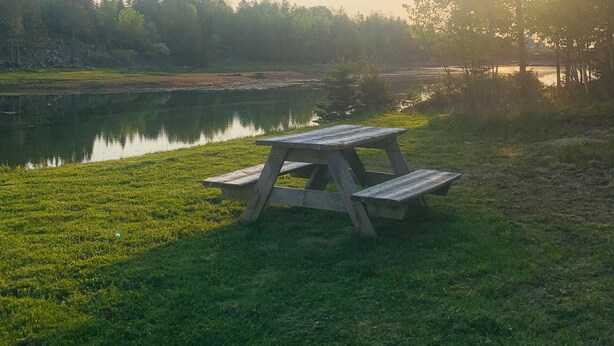 Une table de pique-nique au bord d’un lac, avec des arbres en arrière-plan.