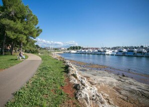 Apartment | View from property - Apartment in Novigrad With Sea Views & Pool (Novigrad)