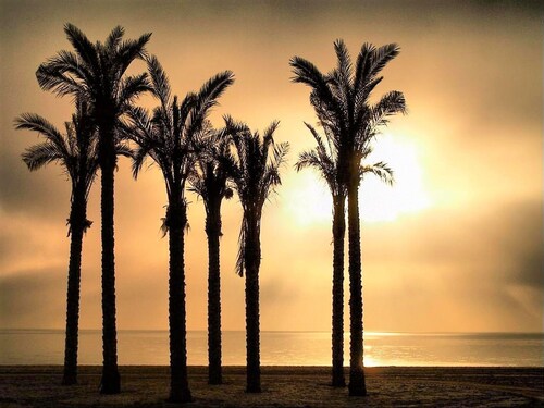 Apartment in Roquetas Near the Beach