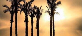 Apartment in Roquetas Near the Beach