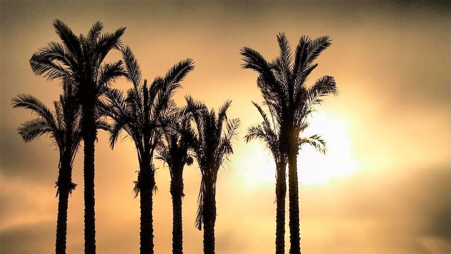 Apartment in Roquetas Near the Beach