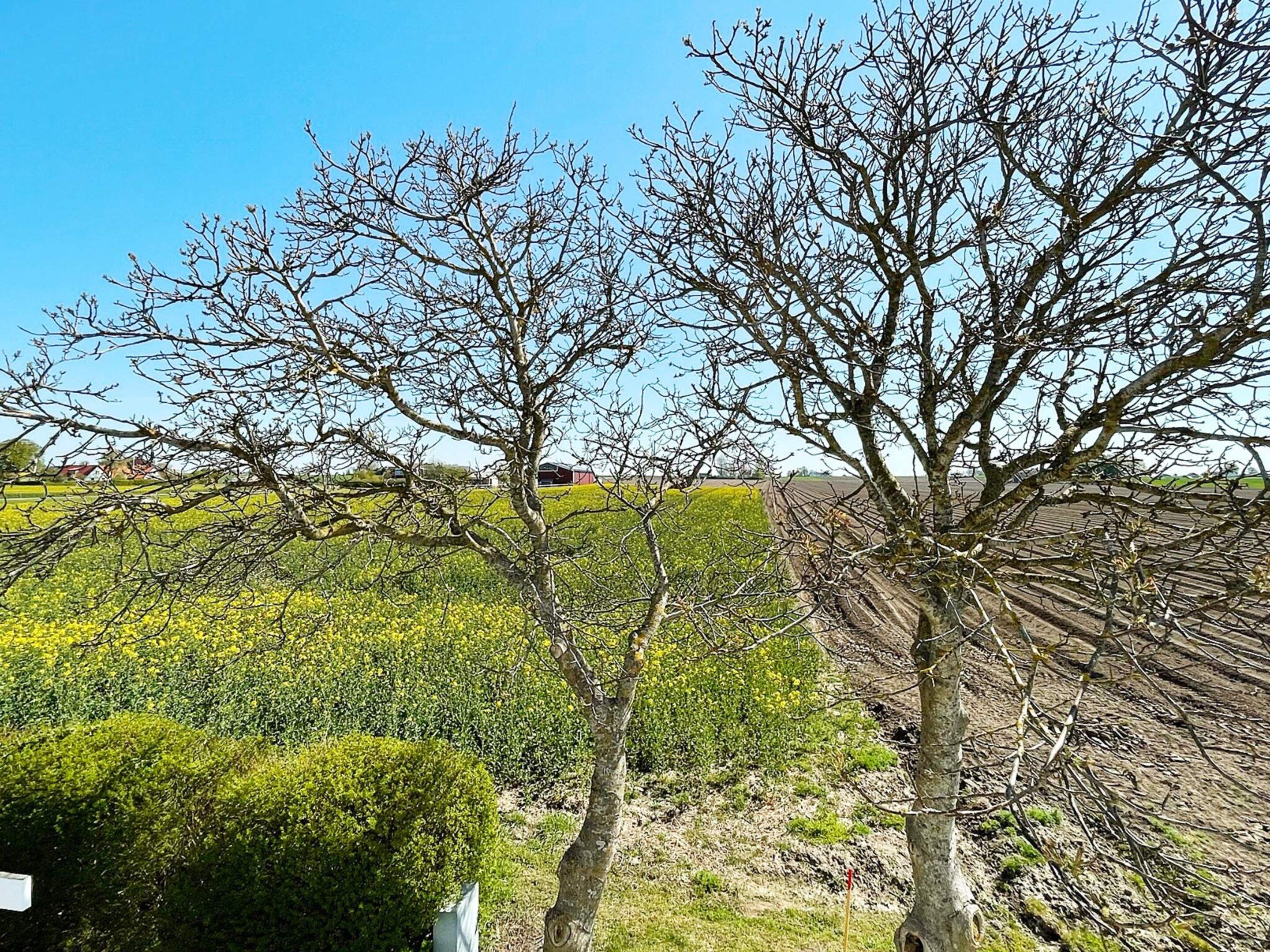 Udendørsområde