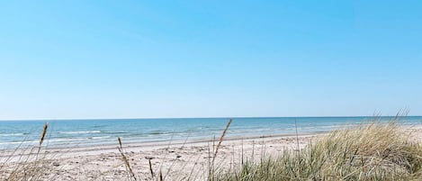 House | Beach