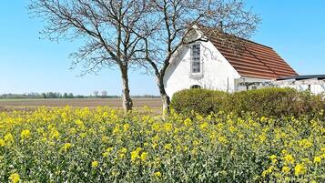 Casa | Áreas de la propiedad