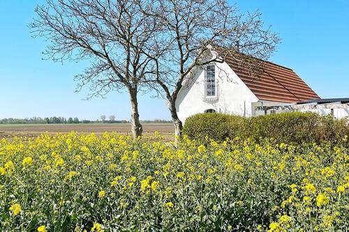 House | Property grounds