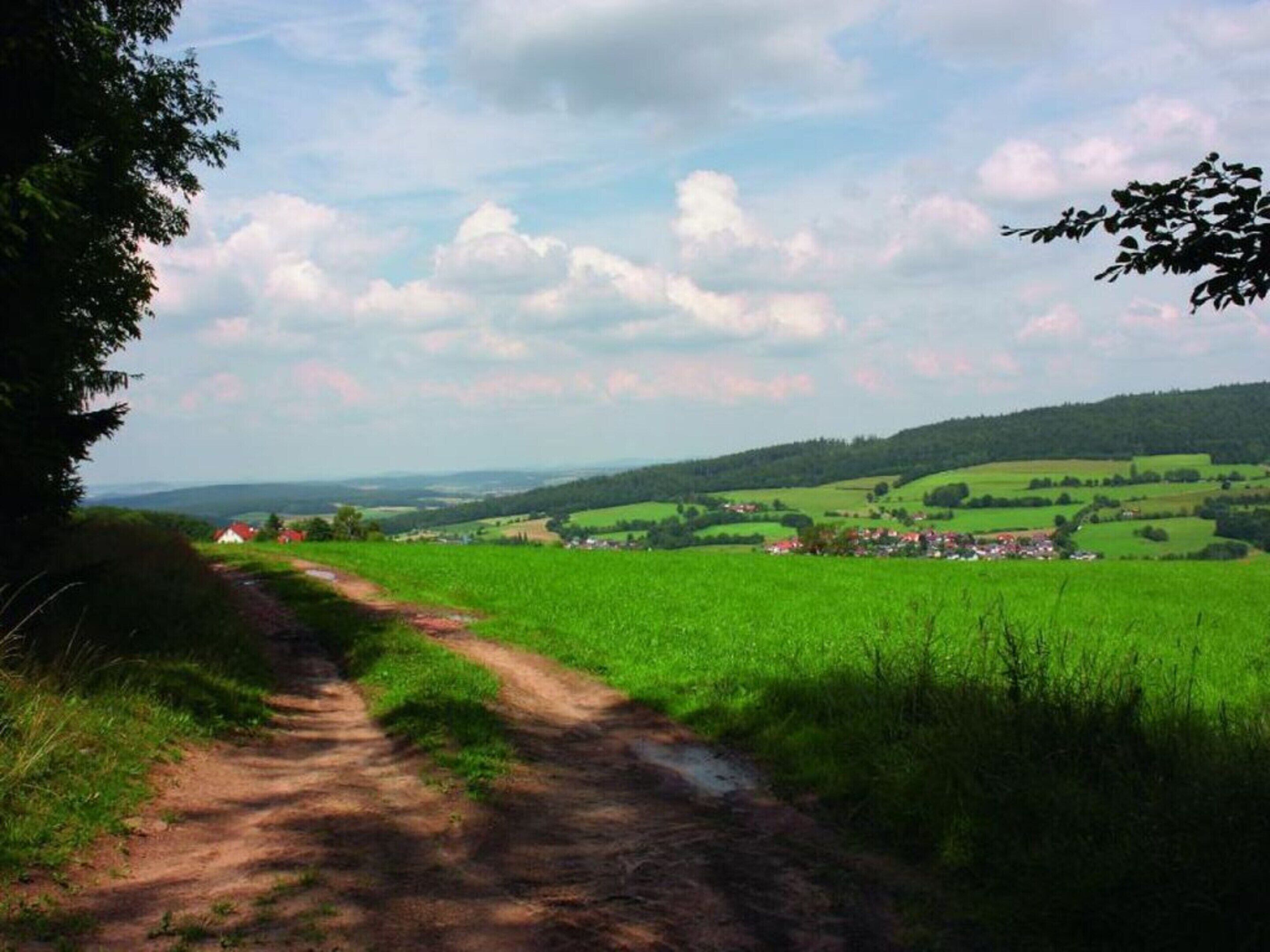 Un paysage rural avec un chemin de terre serpentant à travers des champs verdoyants, des maisons à l’horizon et un ciel nuageux.