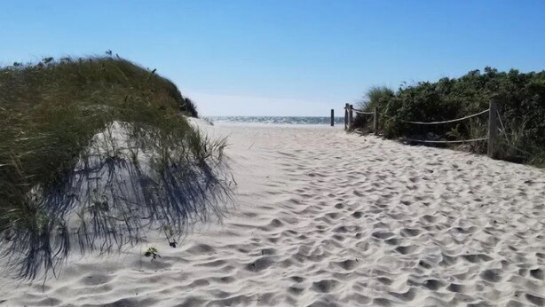 A sandy beach path with vegetation on either side, leading to the ocean. - Last minute Cape cod rental
  Bikes,  Beach ,ac  ,laundry ,ping pong table  (Dennis)