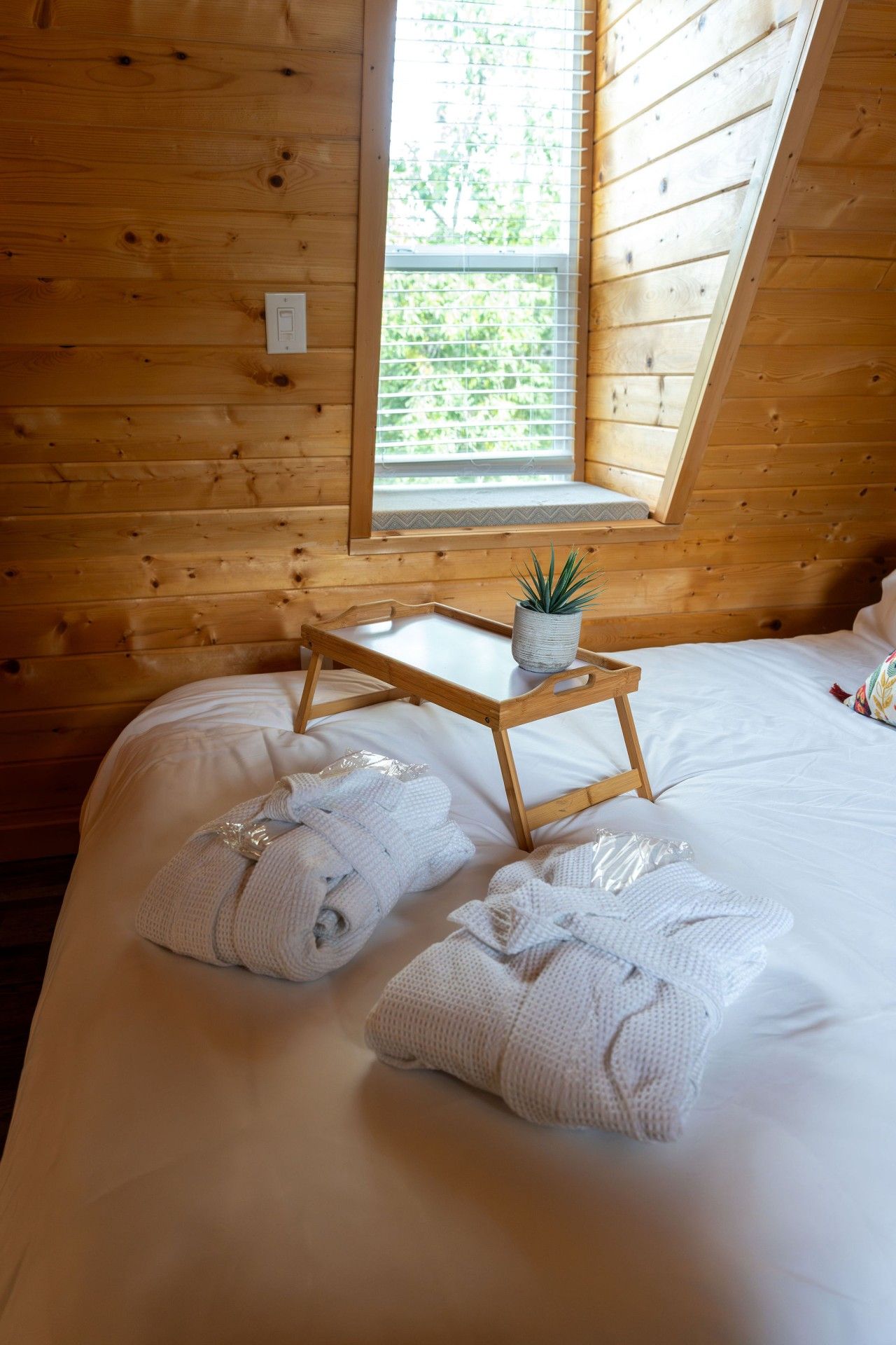 A wooden cabin room with a bed, a small table with a plant, and two rolled-up towels.