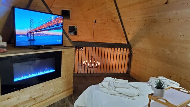 Un intérieur chaleureux en bois, avec un lit, une télévision et une petite table agrémentée d’une plante.