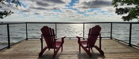 Terras