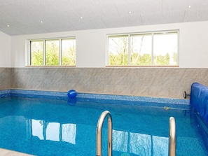 An indoor swimming pool with clear blue water, a blue ball, and a ladder. - 4 Star Holiday Home in Oksbol (Oksbol)