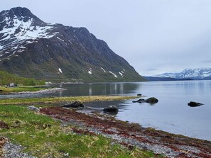 Eksteriør