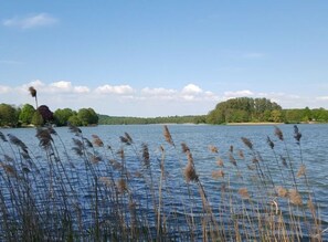 Miscellaneous - Small House Lake Modern Retreat (Feldberger Seenlandschaft)