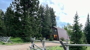 Une cabane rustique avec un toit en métal, entourée d’une forêt dense.