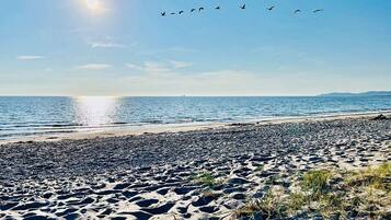 House | Beach