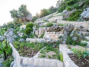 Apartment | Außenbereich