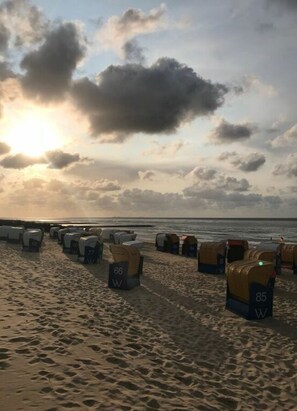 Une plage où s’alignent des rangées de tentes, chacune portant un numéro, une plage de sable fin et l’océan en arrière-plan.