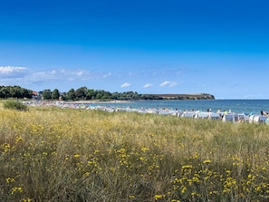 A coastal beach with a grassy foreground, a row of beach umbrellas, and a distant view of a town with buildings and trees. - Residence Starfish Comfortable Vacation Home (Boltenhagen)