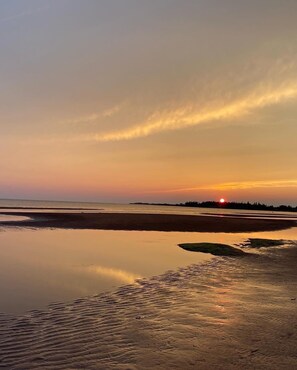 Beach - South shore beauty (Albany)