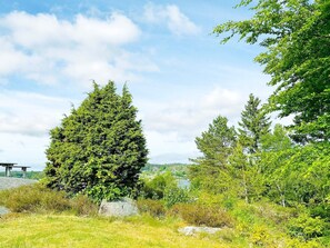 A natural landscape with a large coniferous tree, a rocky outcrop, and a body of water in the background. - 6 Person Holiday Home in Uddevalla-by Traum (Uddevalla)