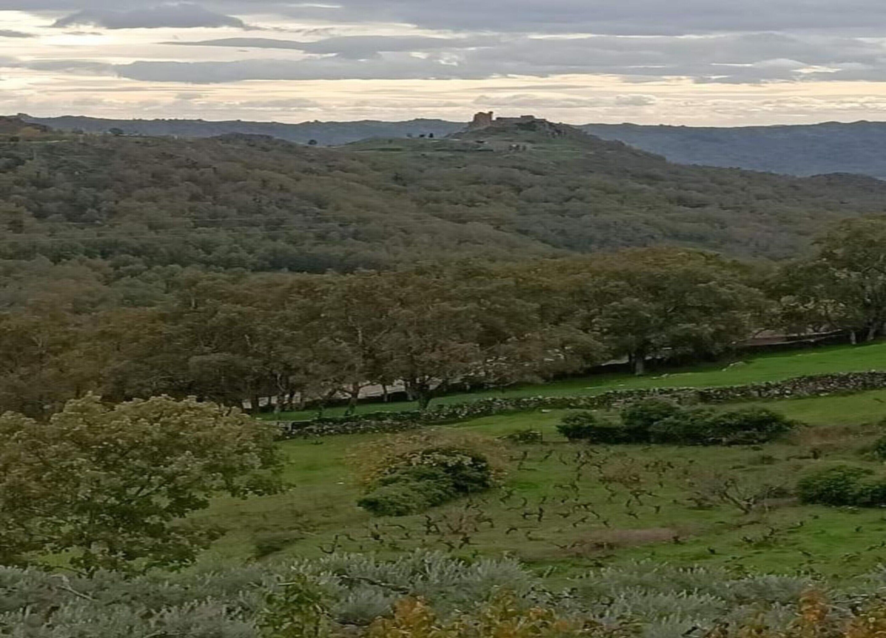 Casa | Vistas desde el alojamiento