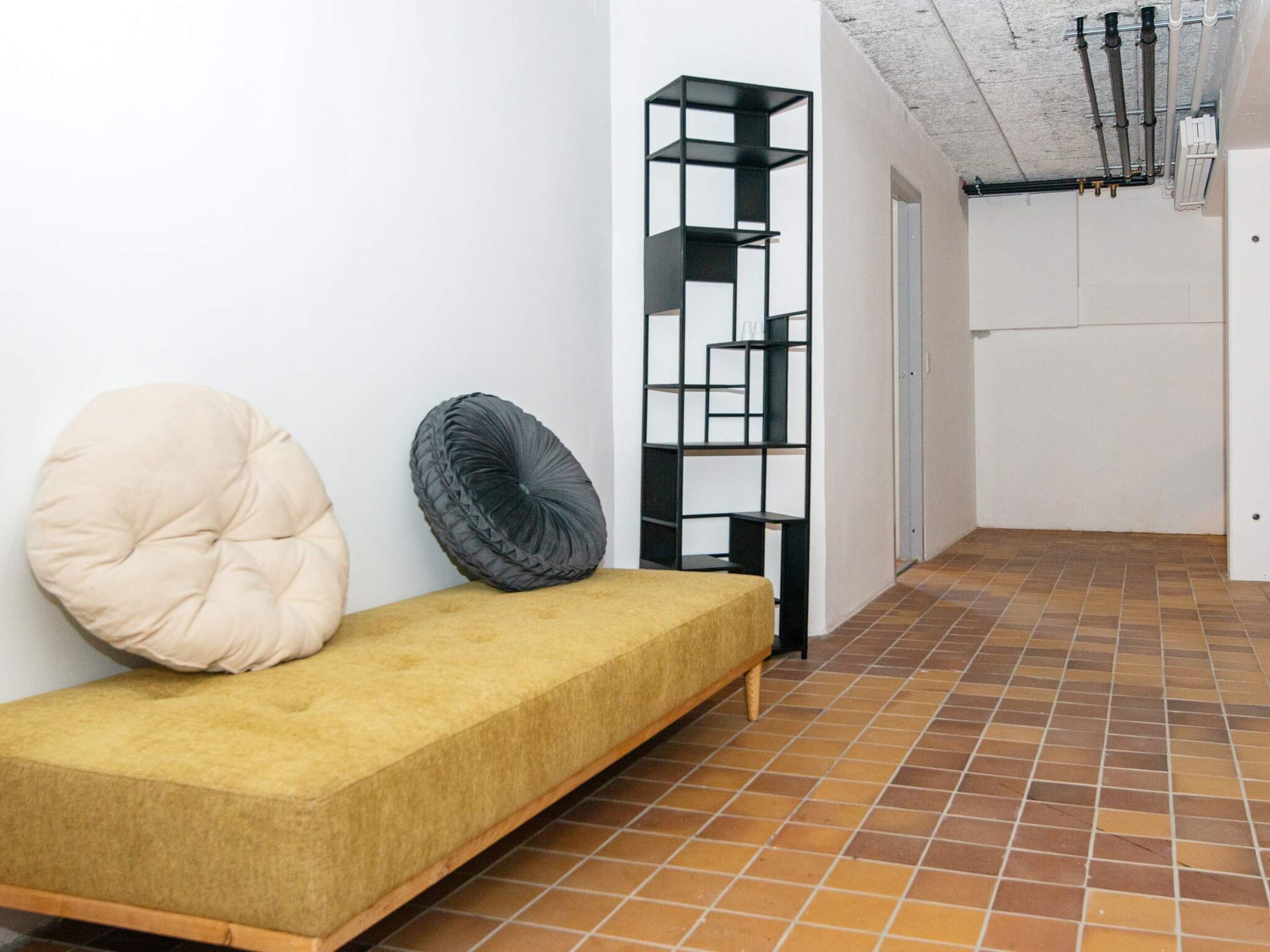 A minimalist room with a sofa, two cushions, and a black shelving unit.