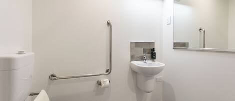 A modern bathroom with a toilet, grab bars, a sink, and a mirror.