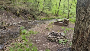 Une zone boisée avec un petit ruisseau, des tables de pique-nique et un foyer.