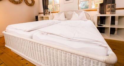Majestic Apartment in Brakel