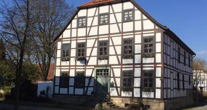 Majestic Apartment in Brakel